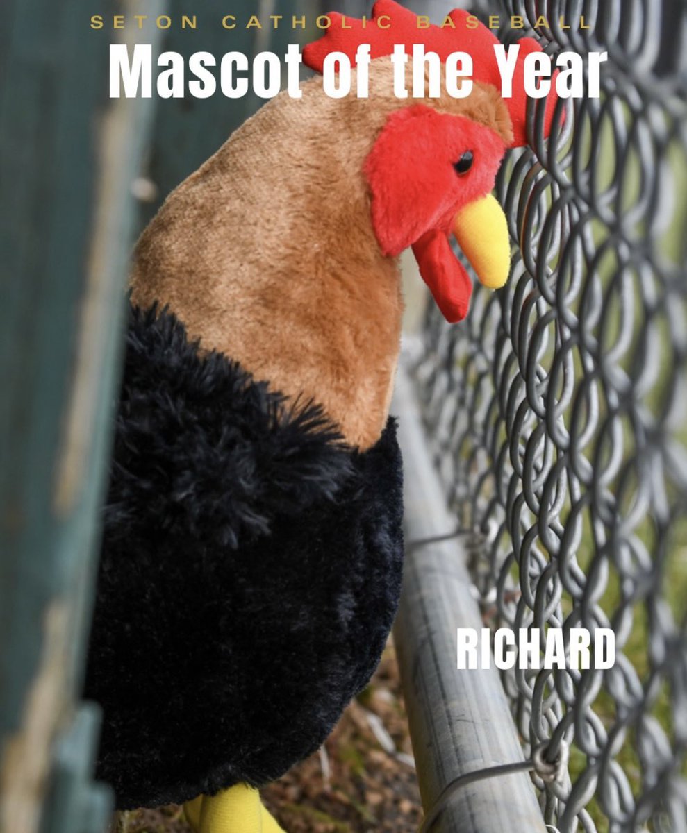 SetonCougs's tweet photo. Can’t forget Richard! Congratulations to Richard for being selected as the Mascot of the Year! https://t.co/6jFHibdaaD