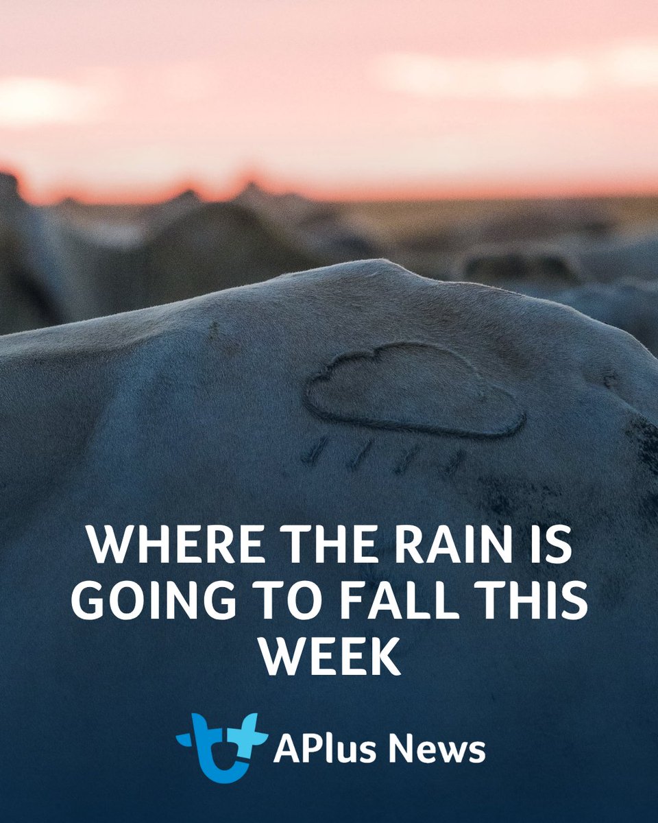 AuctionsPlus tweet media