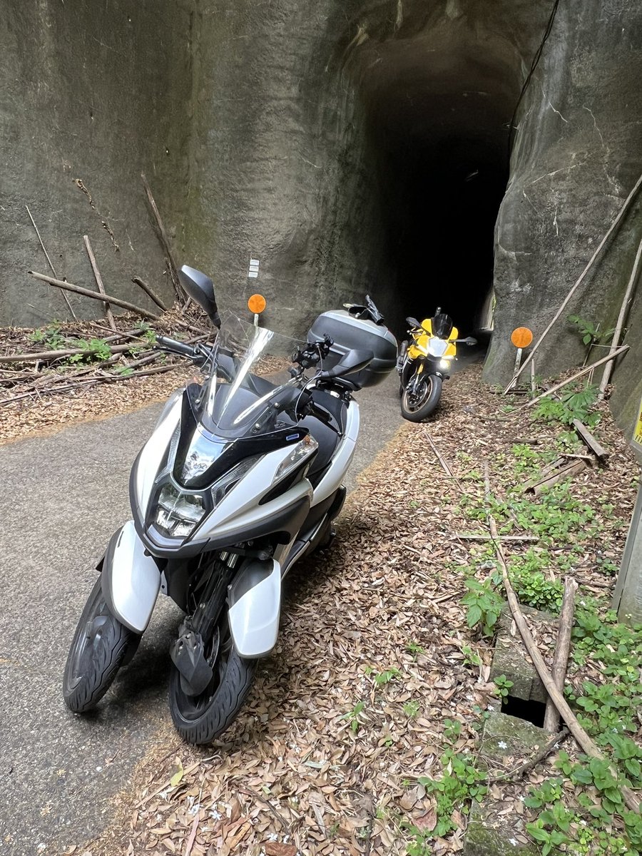 Elis_Miyamura's tweet photo. 今日はバイクでツーリング https://t.co/EWiiWTDGu3