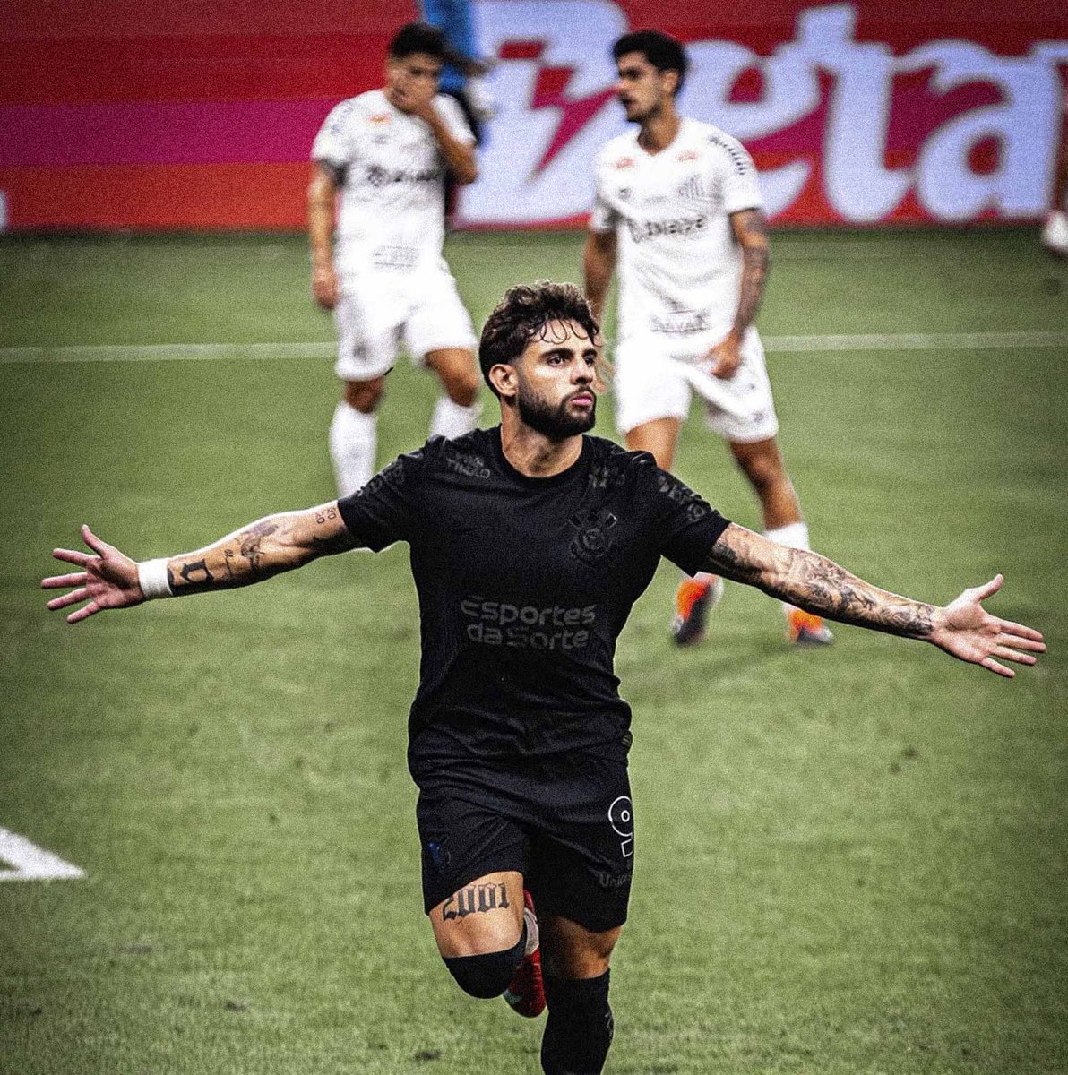 rodriguesˢᶜᶜᵖ tweet media