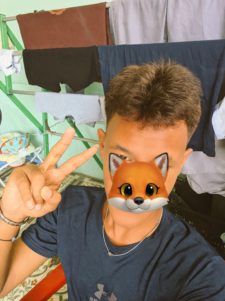 malle🐊 tweet media