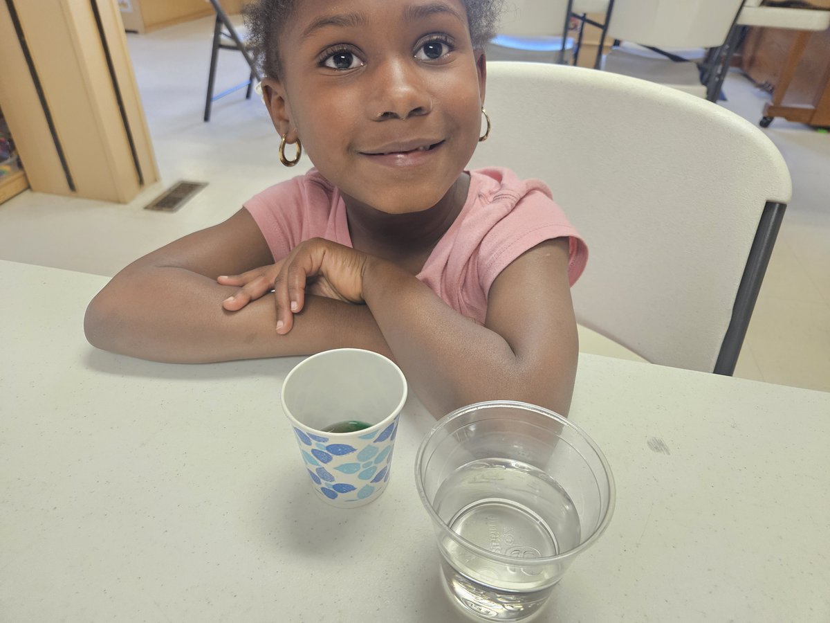 TheDanielCenter's tweet photo. This week students explored water pollution through hands-on experiments, learning how pollution impacts our environment and why protecting our water matters 🌎💧

#EnvironmentalEducation #HandsOnLearning #STEMEducation #YouthInAction https://t.co/kD3DhRoZpA