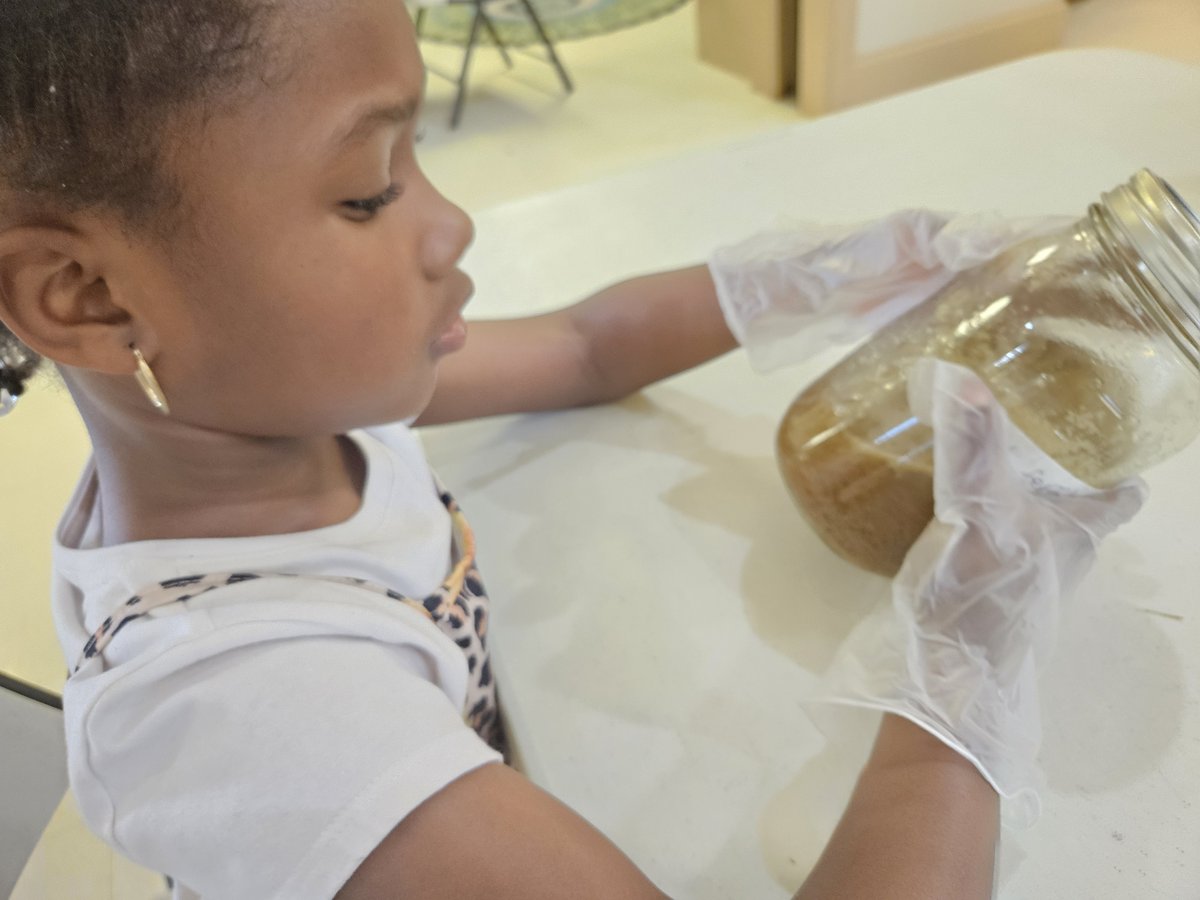 TheDanielCenter's tweet photo. This week students explored water pollution through hands-on experiments, learning how pollution impacts our environment and why protecting our water matters 🌎💧

#EnvironmentalEducation #HandsOnLearning #STEMEducation #YouthInAction https://t.co/kD3DhRoZpA
