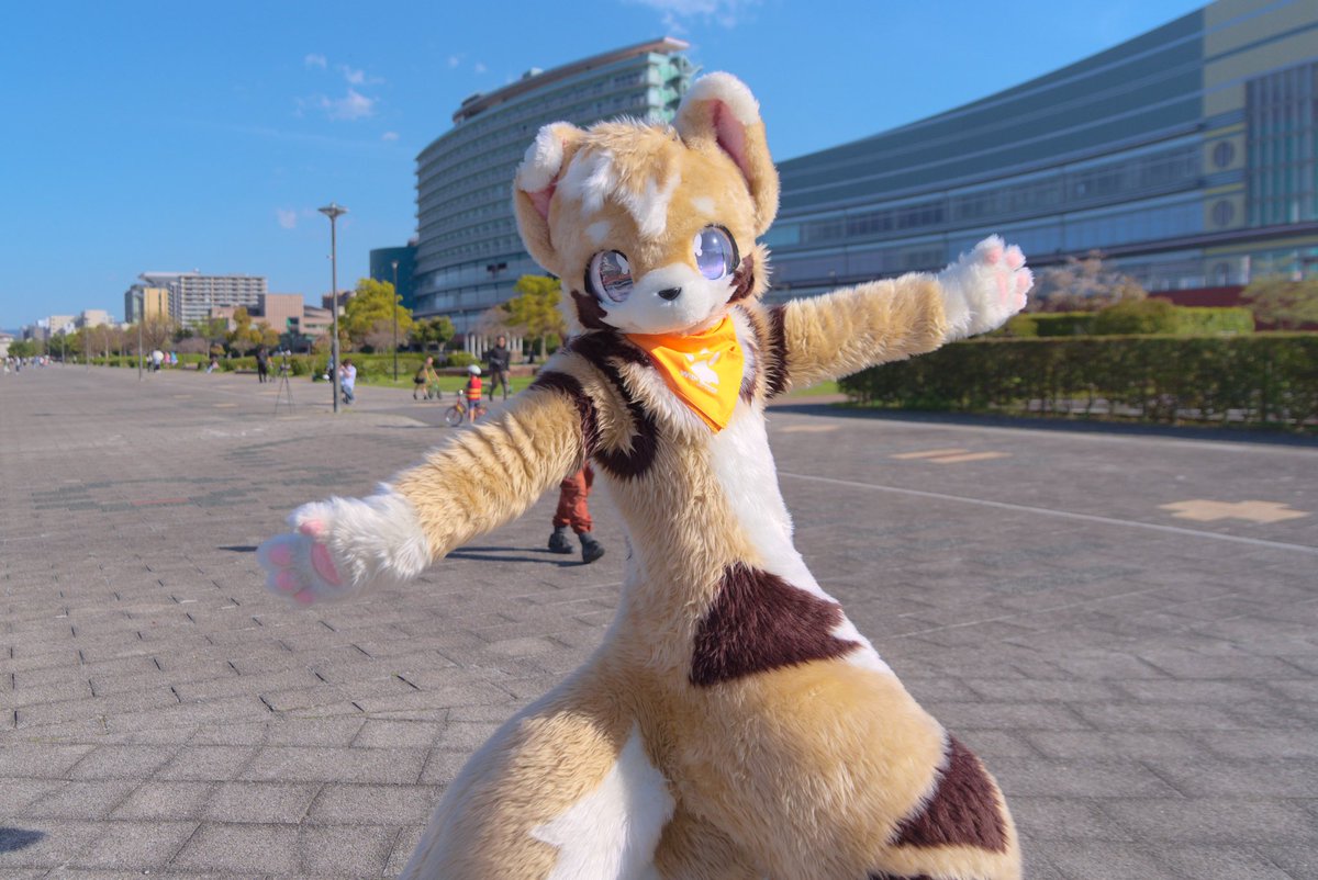 いぬのはし🐾 tweet media