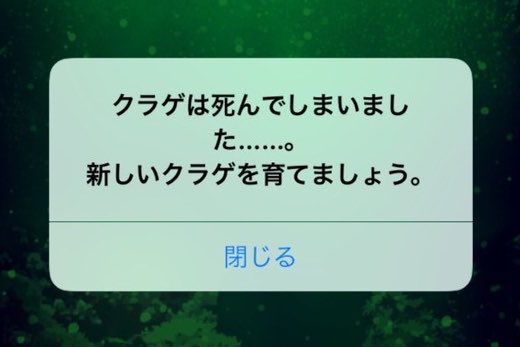 ろあ🐾ｱﾆｶﾗ★ｱｰﾐｰｽﾞ tweet media