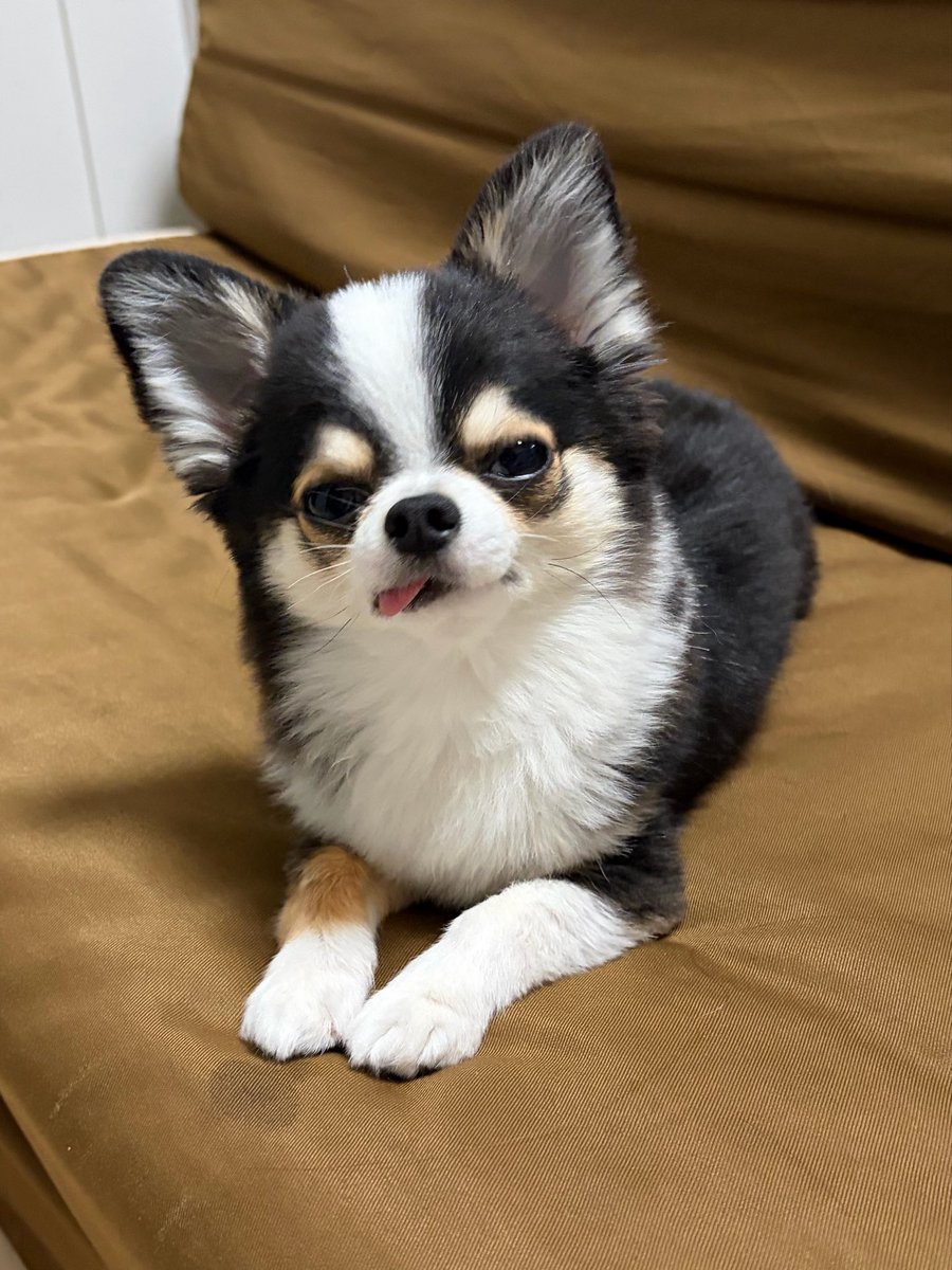 もちょちょ愛してる。 tweet media