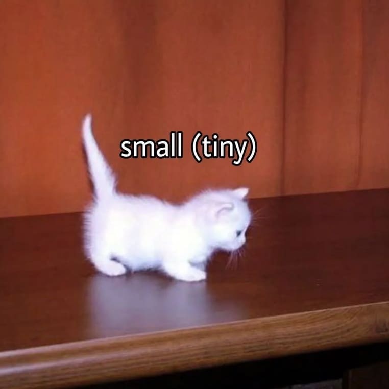 Punch Cat tweet media