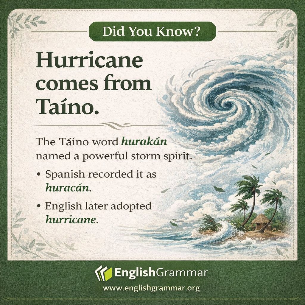 English Grammar tweet media