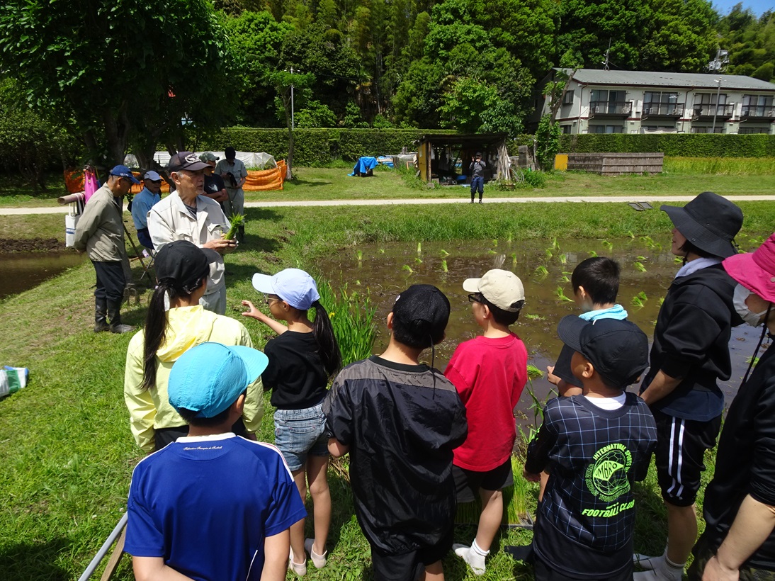 松戸市立博物館 (@matsudo_museum) / Posts / X