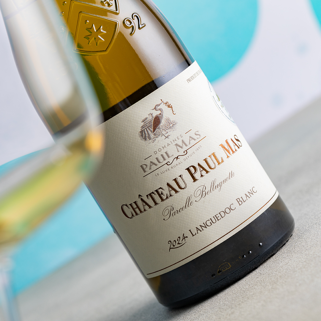 南仏プロバンスプリントミモザホワイト250✕150 今月の新商品登場！🍷／ 南仏の豊かさをぎゅっと閉じ込めた、 ポール