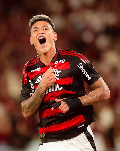 Miranha da Gávea tweet media