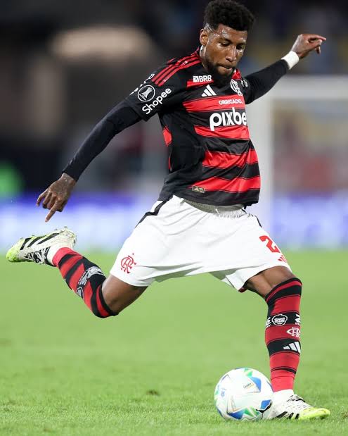 Miranha da Gávea tweet media