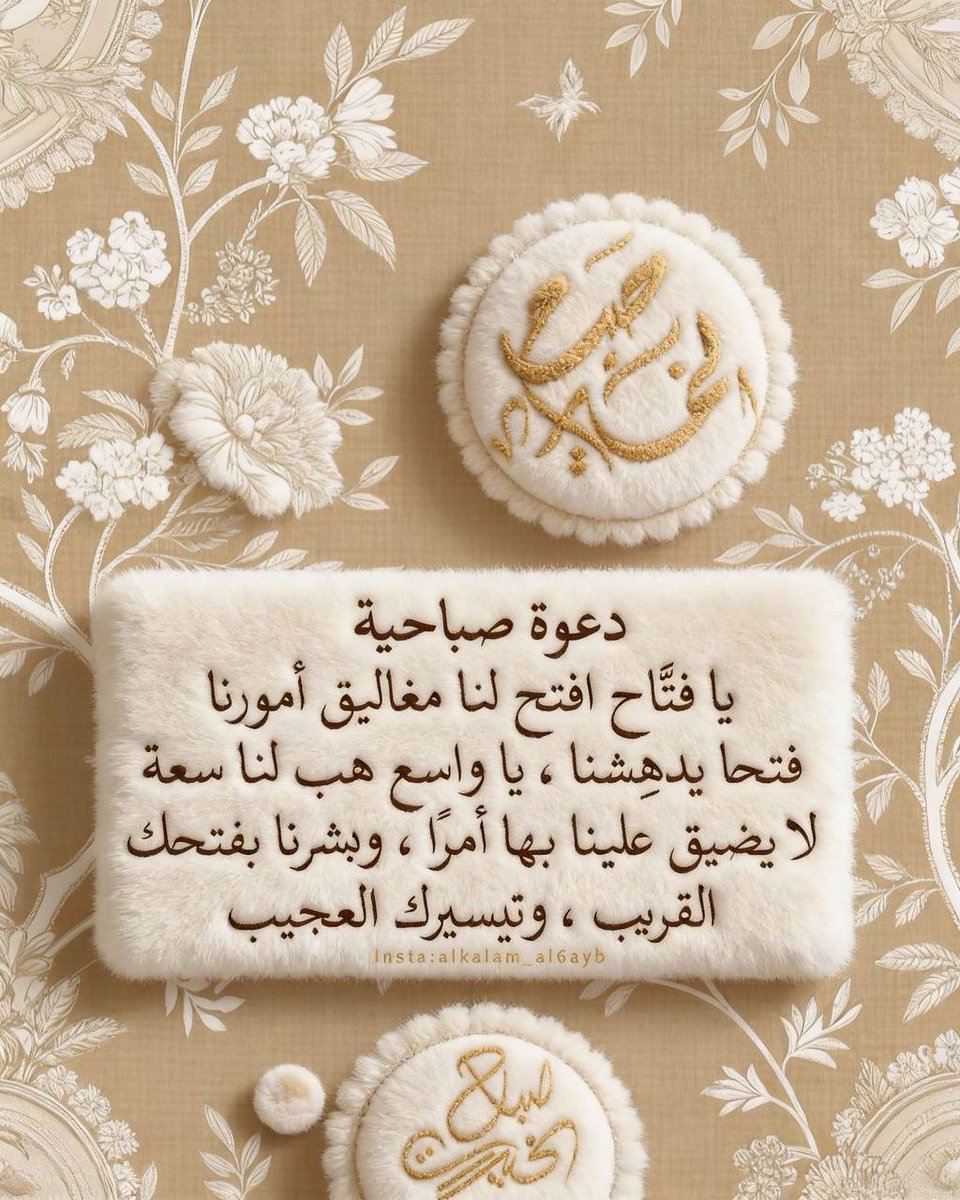 كبرياء الورد..🌸♡●•R tweet media