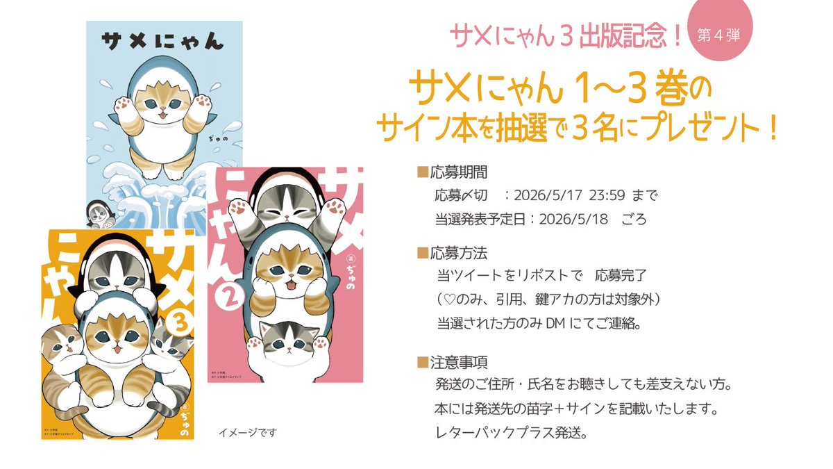 ぢゅの🐈 tweet media