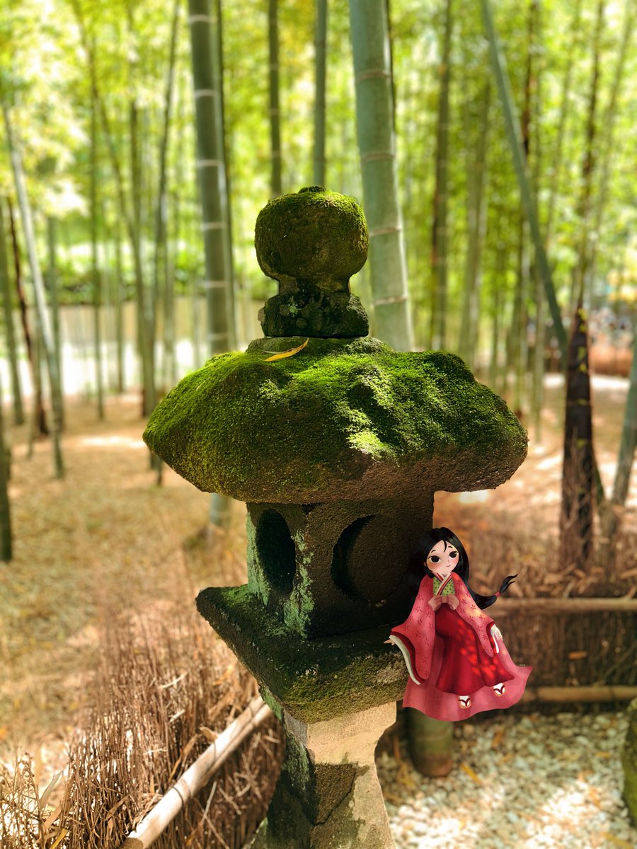 Teandrops's tweet photo. Kamakura- Hokokuji Temple 🎋
Exploring this magical feeling bamboo forest in my recent trip to Japan. And i got inspired to draw some forest friends and Kaguya Hime✨🍵🍃 https://t.co/wVRHt6wN6p