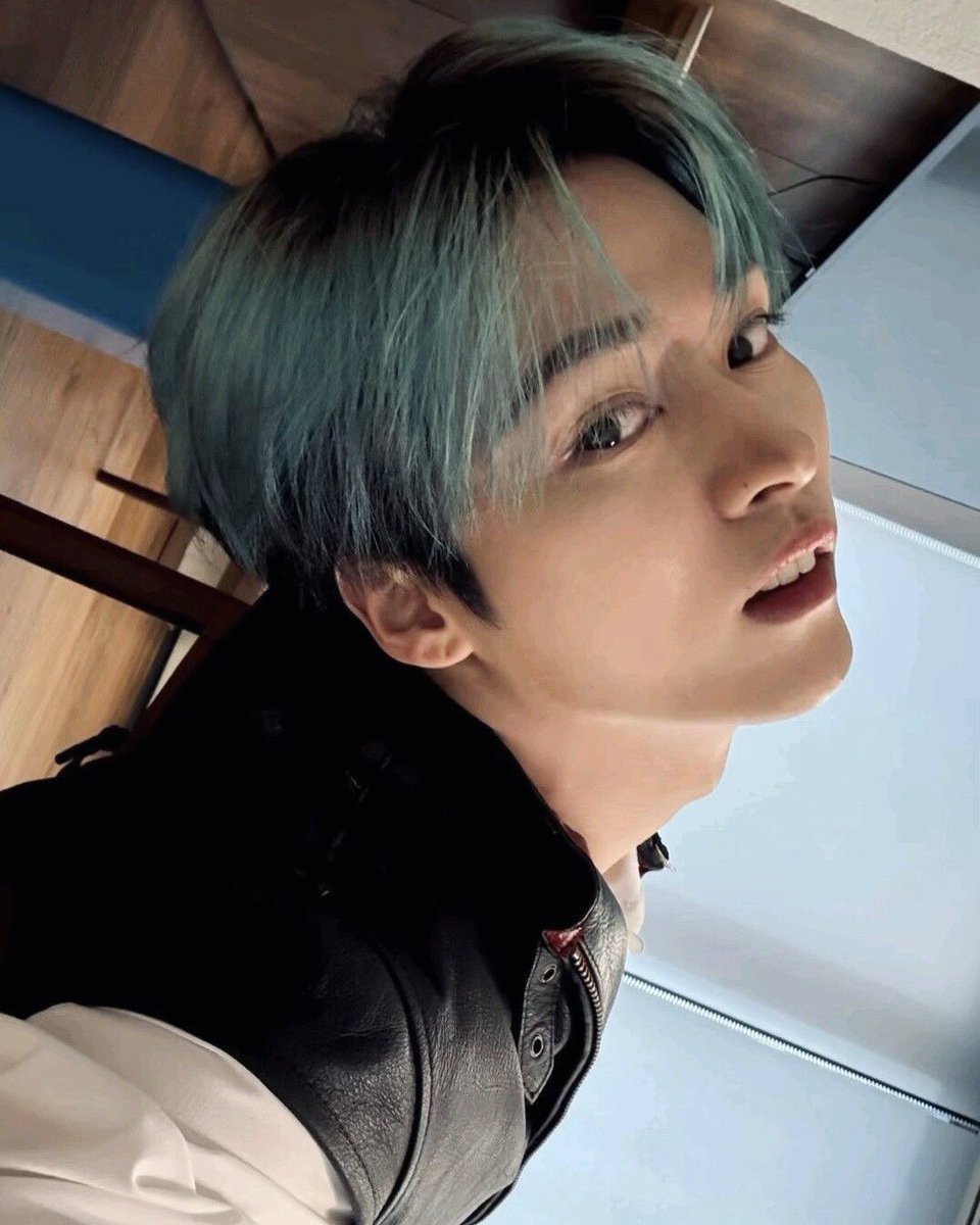 gato do minho da silva || au jeongchan 📌 tweet media