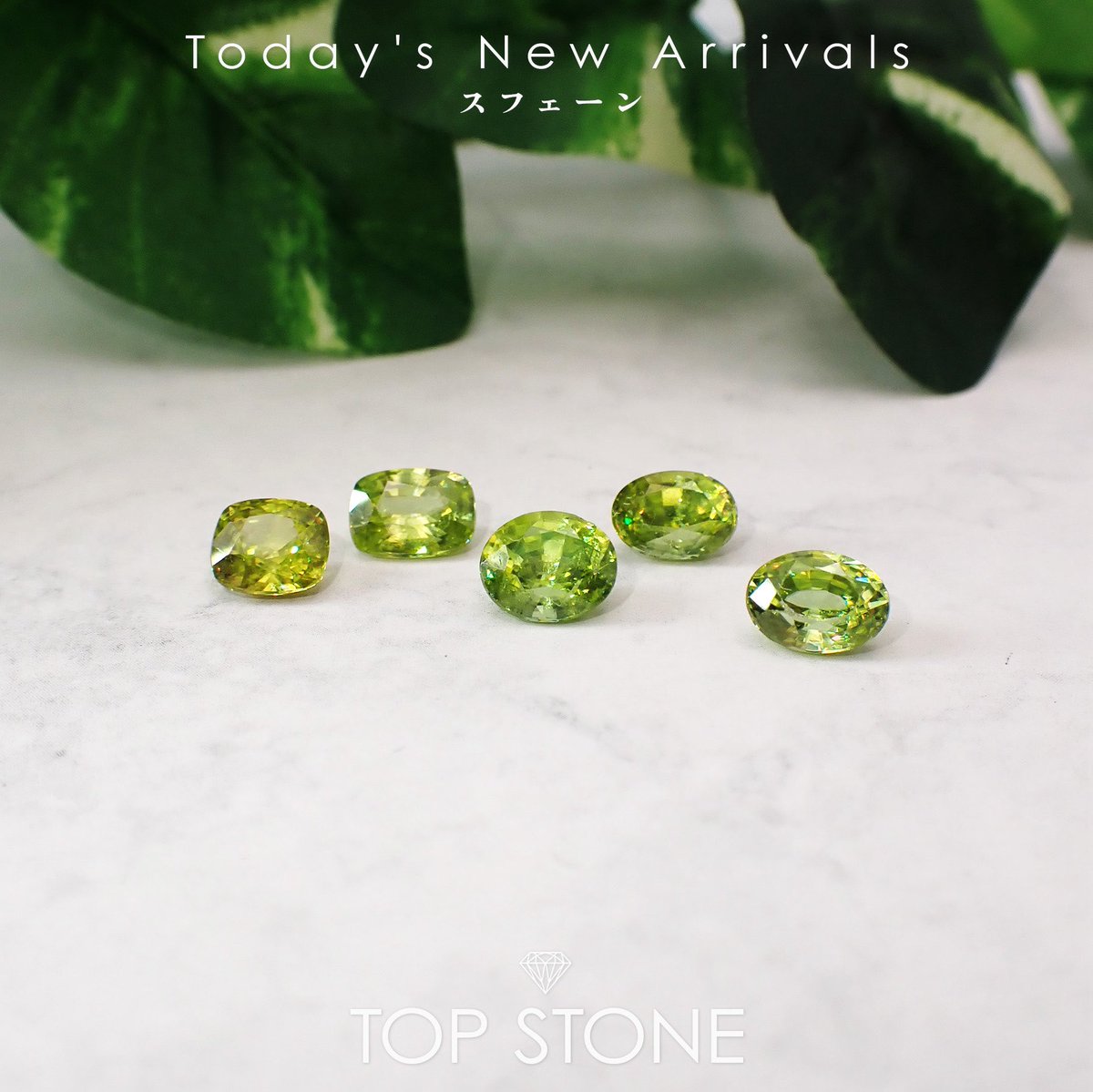 TOP STONE 【公式】※毎週水金インスタライブ開催※ tweet media