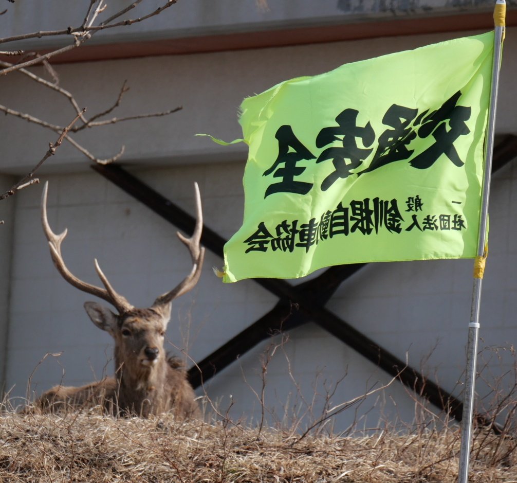 梶秋 tweet media
