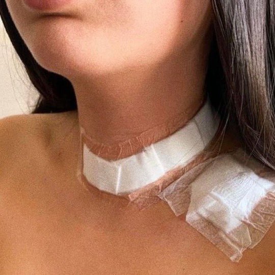 世界のど迫力映像@フォレスト(Forest)🕊️ tweet media