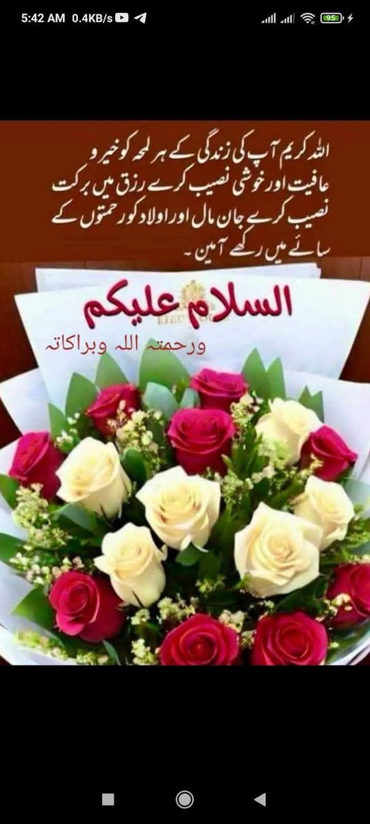 Talat Haral tweet media
