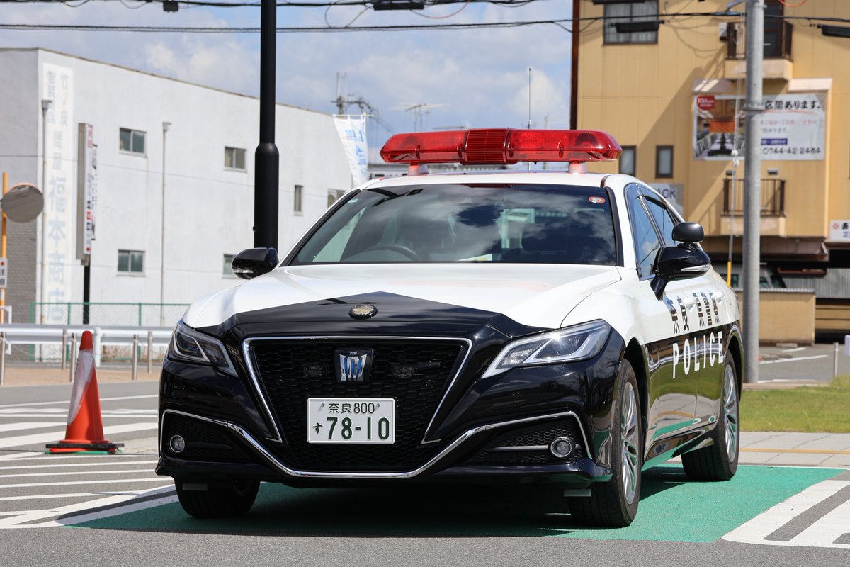 zosui_police's tweet photo. 桜井202 https://t.co/hphHhKuodQ