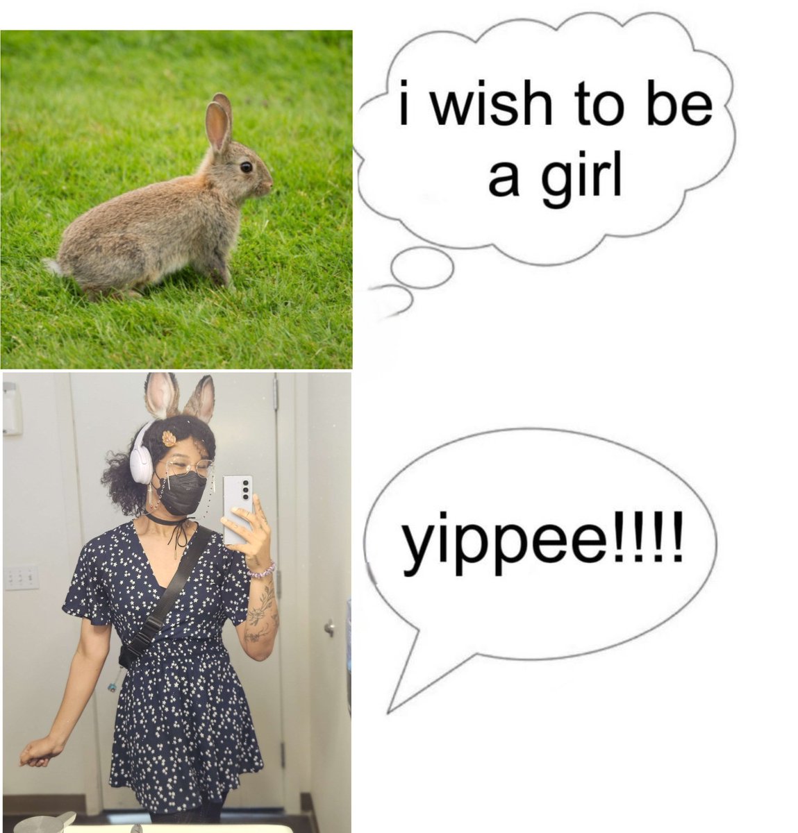 Bun🌸 tweet media