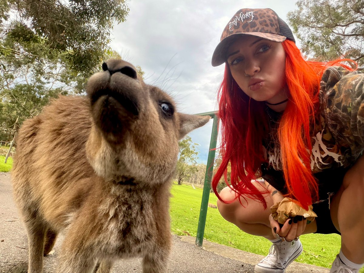 Priscilla Kelly tweet media
