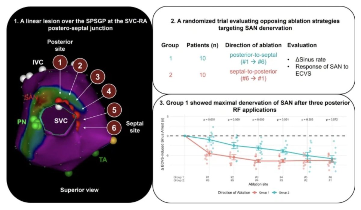 JICE_EP's tweet photo. 🚨Latest #FreeRead Article in
@JICE_EP

Differential Effects of Right Atrial Ablation Sites on Vagal Modulation of the Sinus Node during CNA

📖🧐https://t.co/P4Xadp4MHj

by Peter Štiavnický, Dan Wichterle, Helena Jansová, @Petr_Peichl, Robert Čihák, @P_Stojadinovic & @JosefKautzner

#EPeeps