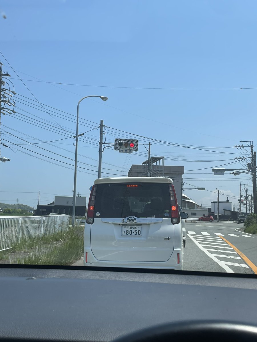 Okaemon2002's tweet photo. 小糸ヤマブキに四角ゼブラついてる！ https://t.co/6yf3OEsRrw