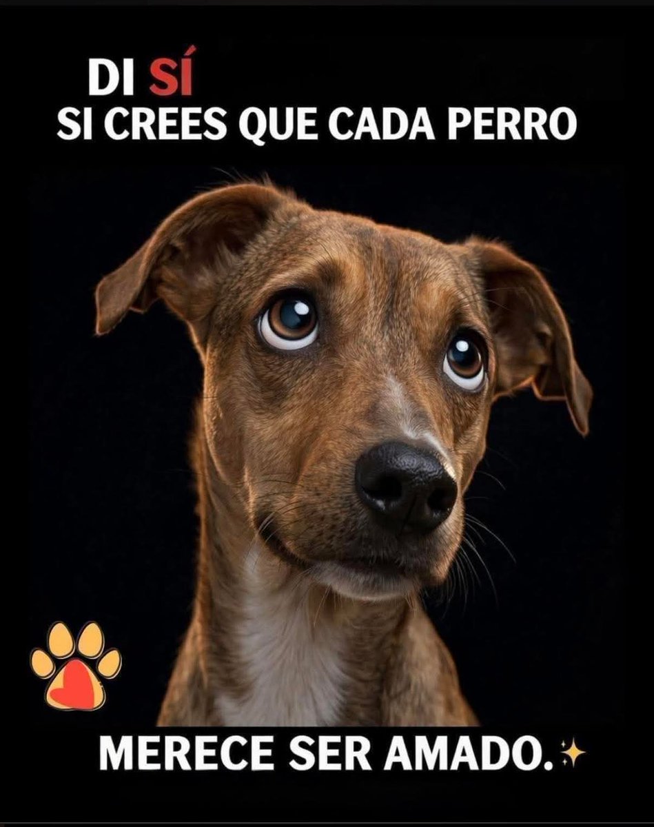 Manu Saenz💛💛 tweet media