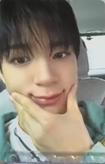 자몽 tweet media
