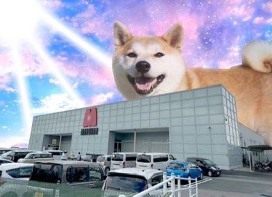 ラグ　next→多分マジミラ大阪 tweet media