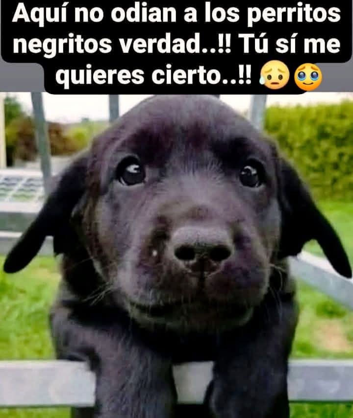 Manu Saenz💛💛 tweet media