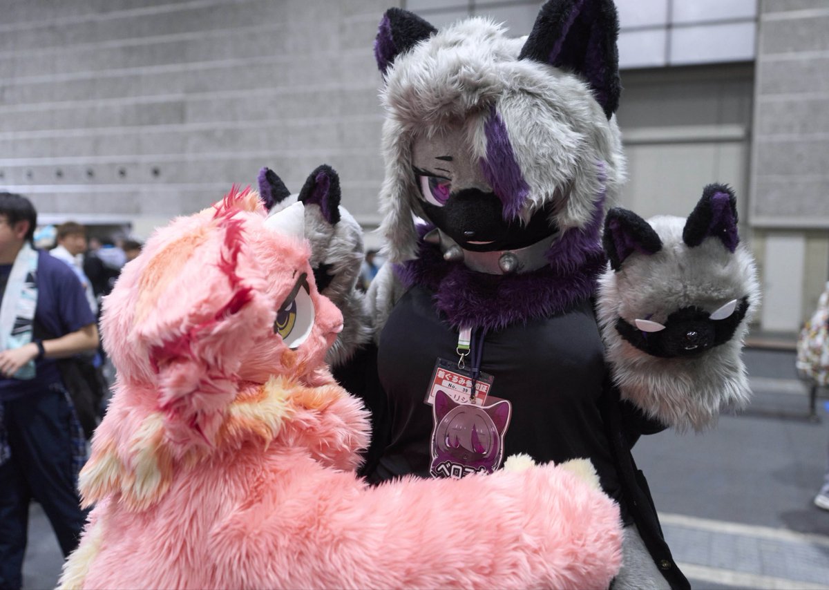 RT @FERISIA_Vine: 身長差 #FursuitFriday #関西けもケット11