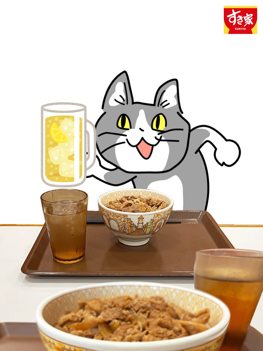 漫喫猫😺時々銭湯猫 tweet media