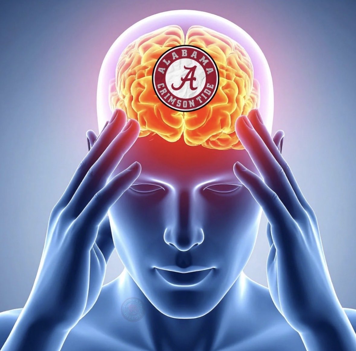 Darth Saban tweet media