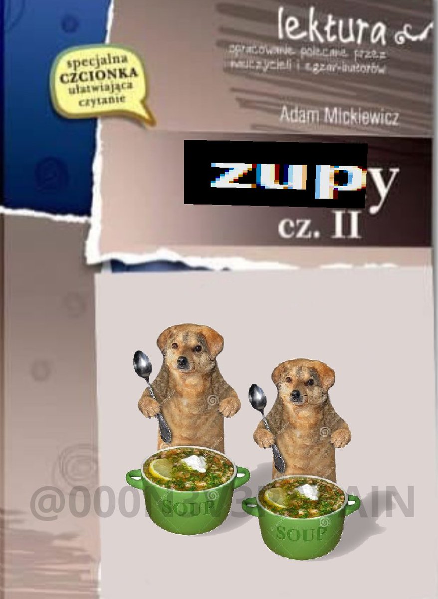 zupa pies fotografie tweet media