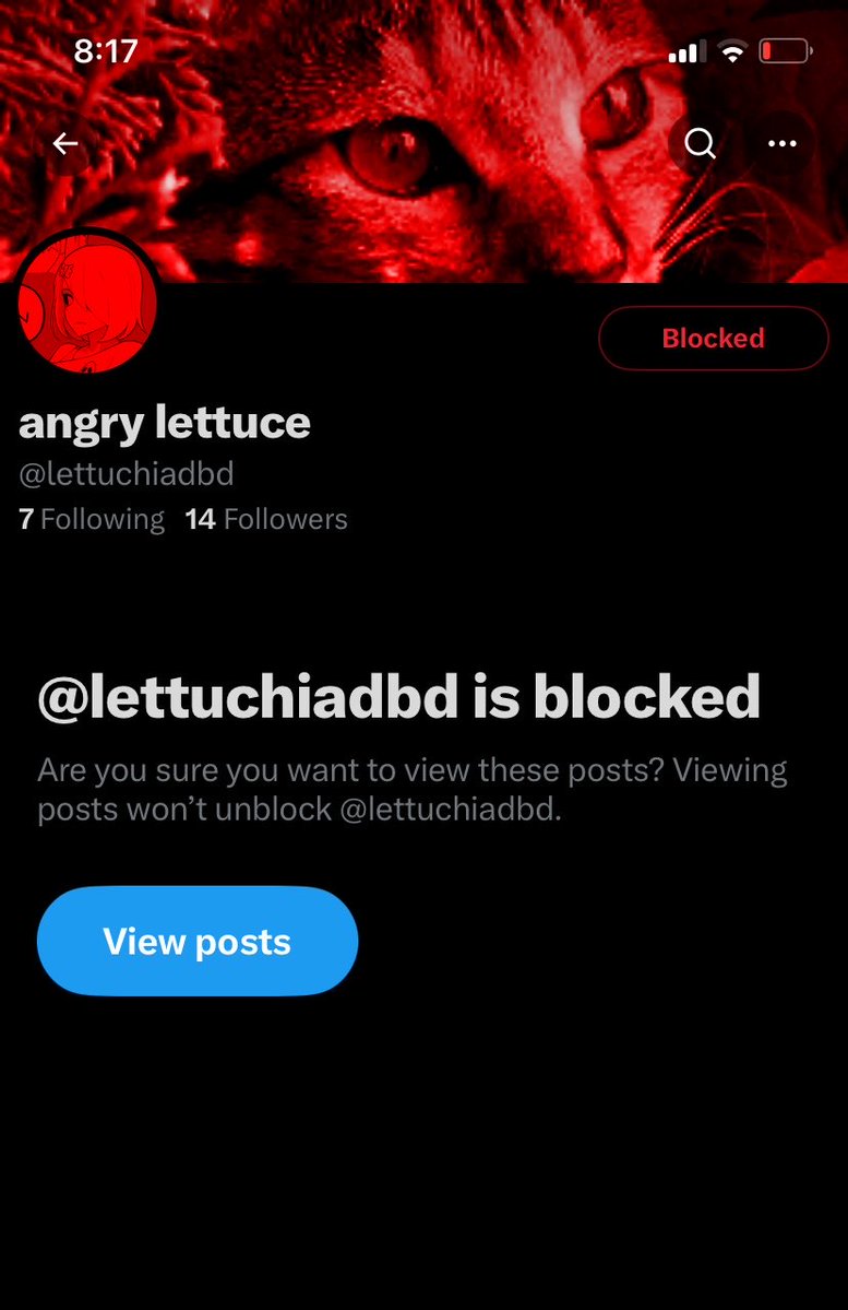 VoidTerror tweet media