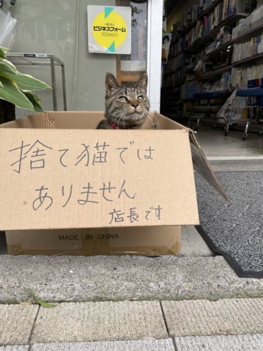 animalkyat's tweet photo. 店長です https://t.co/9Q7k4mNpm0