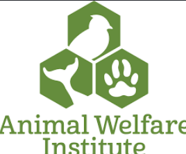 kvuwr60's tweet photo. Reintroduced in 2024, the ProTECT Act aims to ban the killing of various species for trophies in the United States. The Animal Welfare institute states that trophy hunting hurts the structure of wild populations. Read more here: https://t.co/AG7qJ7hHvm

#60animals https://t.co/Ig7WmbOAy6