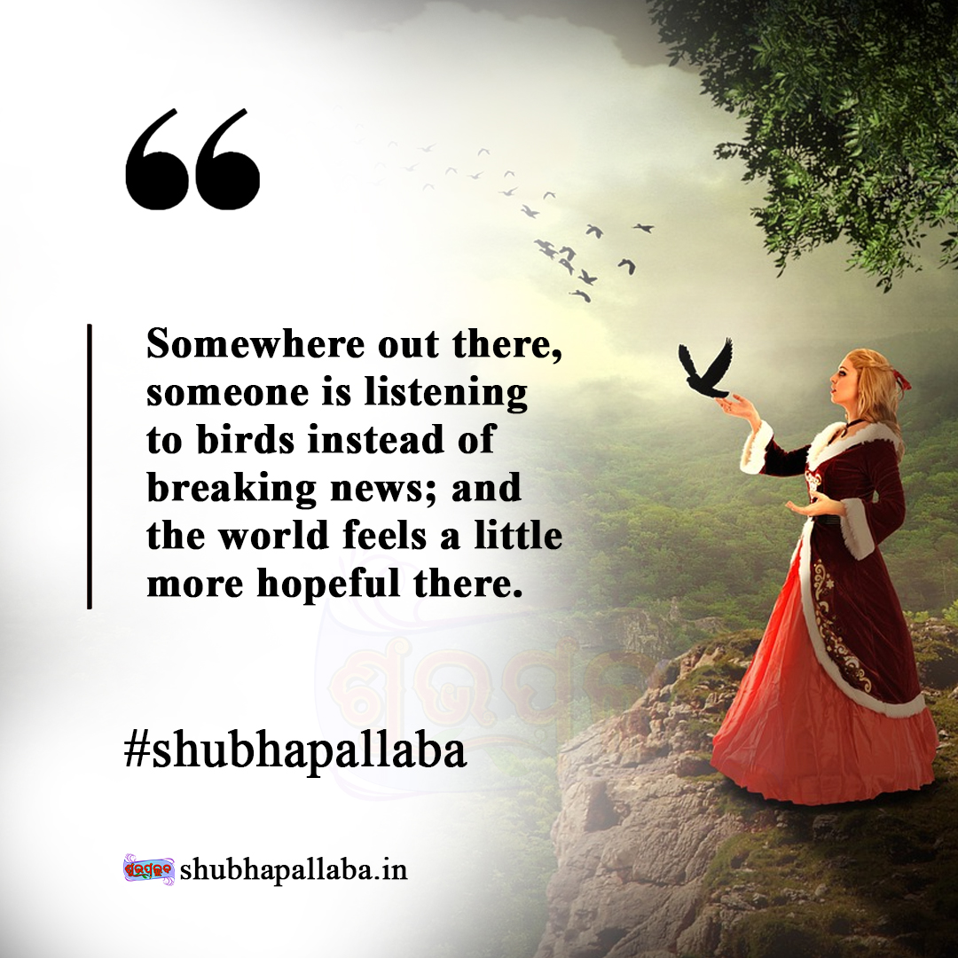 ଶୁଭପଲ୍ଲବ ~ Shubhapallaba tweet media