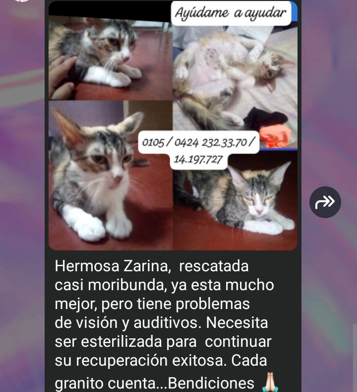 José Luis López tweet media