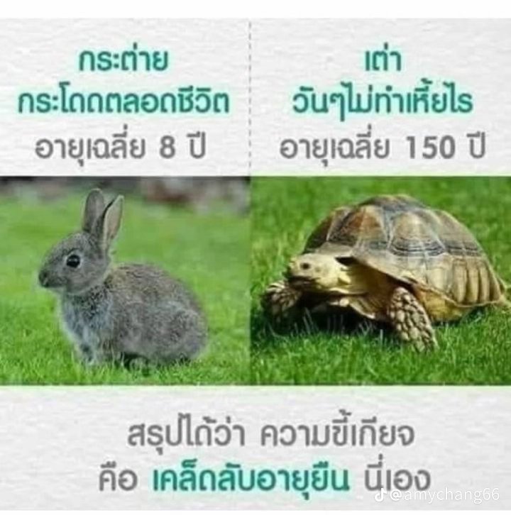 ว.ด.จ.小明˚ʚ♡ɞ˚ tweet media