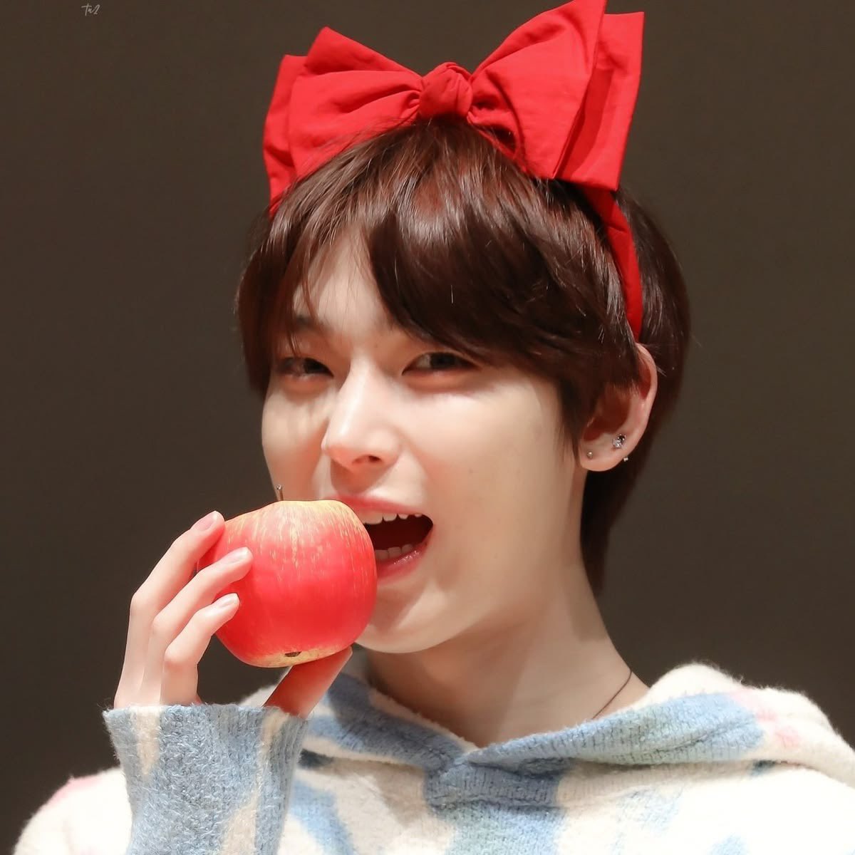 🍎 tweet media