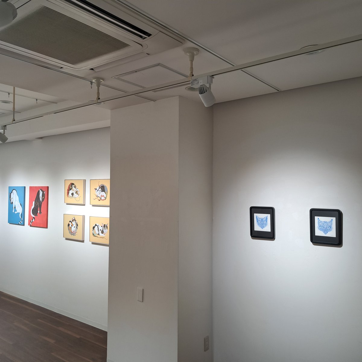 GalleryMumon's tweet photo. 本日より、
feebeeさん(@feebee_news) 個展「未観測のねこ」
が始まりました。
会期:5月15日(金)~5月30日(土)
11時~19時(日・月休廊)
https://t.co/QdaFms0KVb
本日、作品リストを公開いたしました。
https://t.co/6i3LZQp86B
※本展は当初、抽選による販売となります。
販売方法↓↓ https://t.co/6TZumpibTj