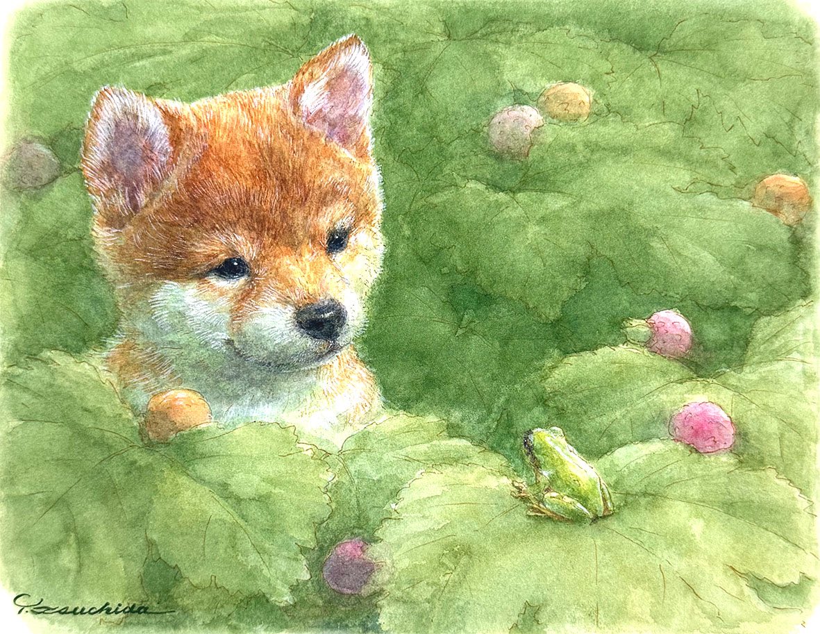 土田穣 作品展 🖼️／ 森の小さな生きものたちのかわいらしい表情や