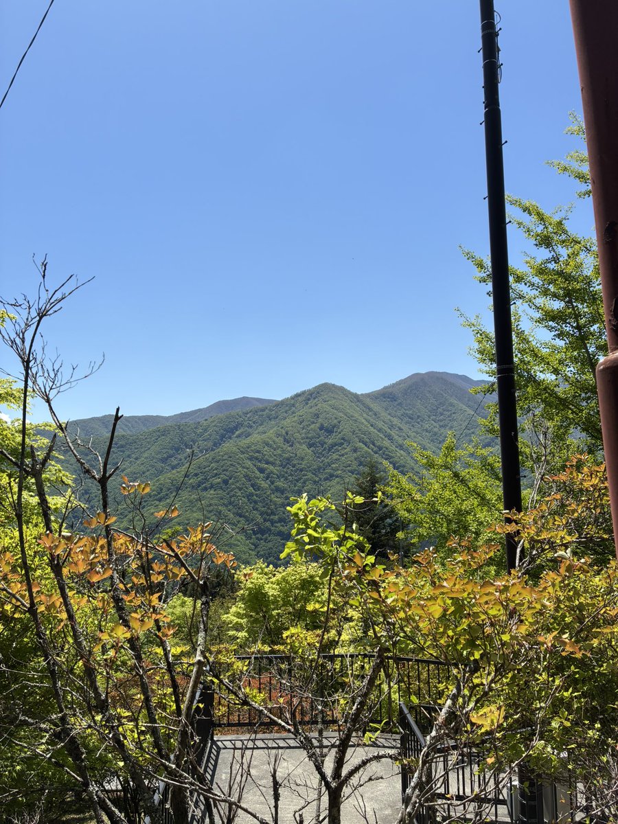 mo_chi_tarou's tweet photo. https://t.co/NcIL8oZWYr
