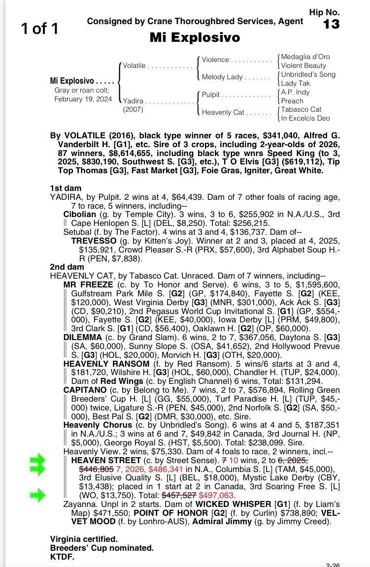 Save Horse Racing tweet media