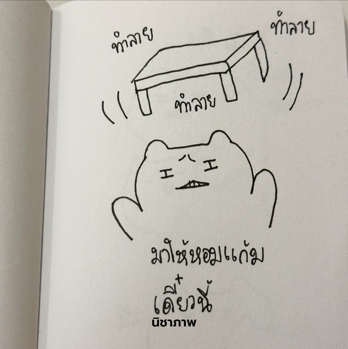 นิชาภาพ tweet media