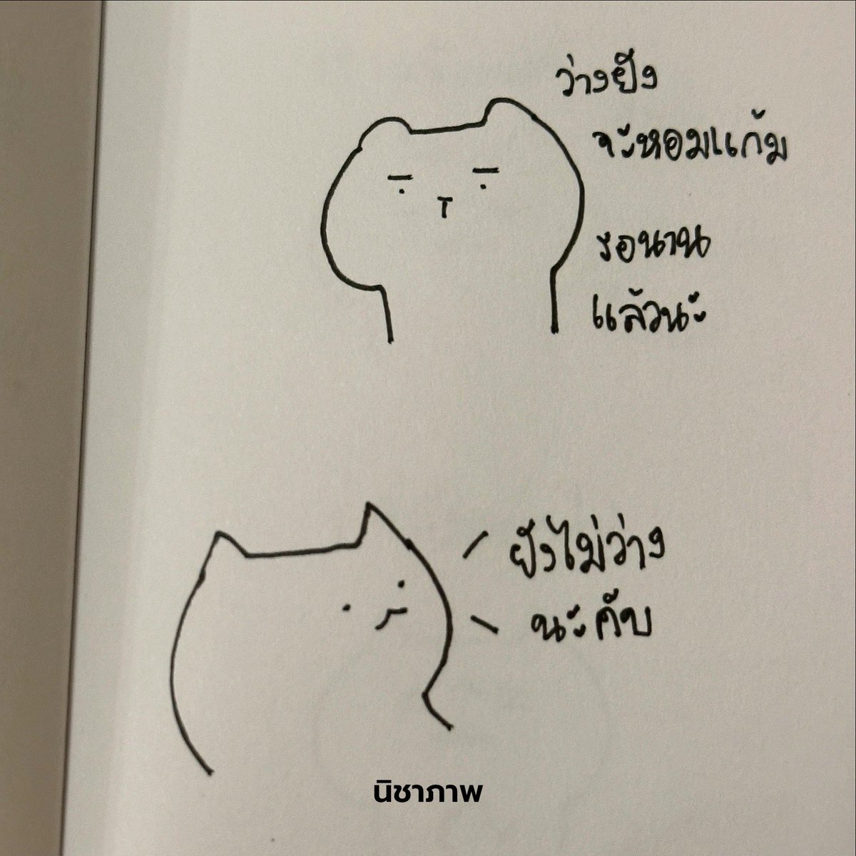 นิชาภาพ tweet media